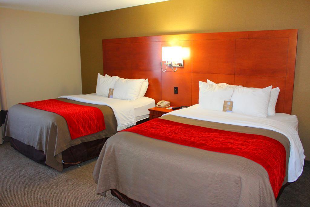 Comfort Inn & Suites Бари Екстериор снимка